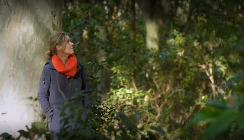 Kate Brettell leaning in a tree in Glenrock