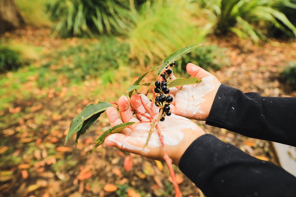 A girl holds bush berries in her hands