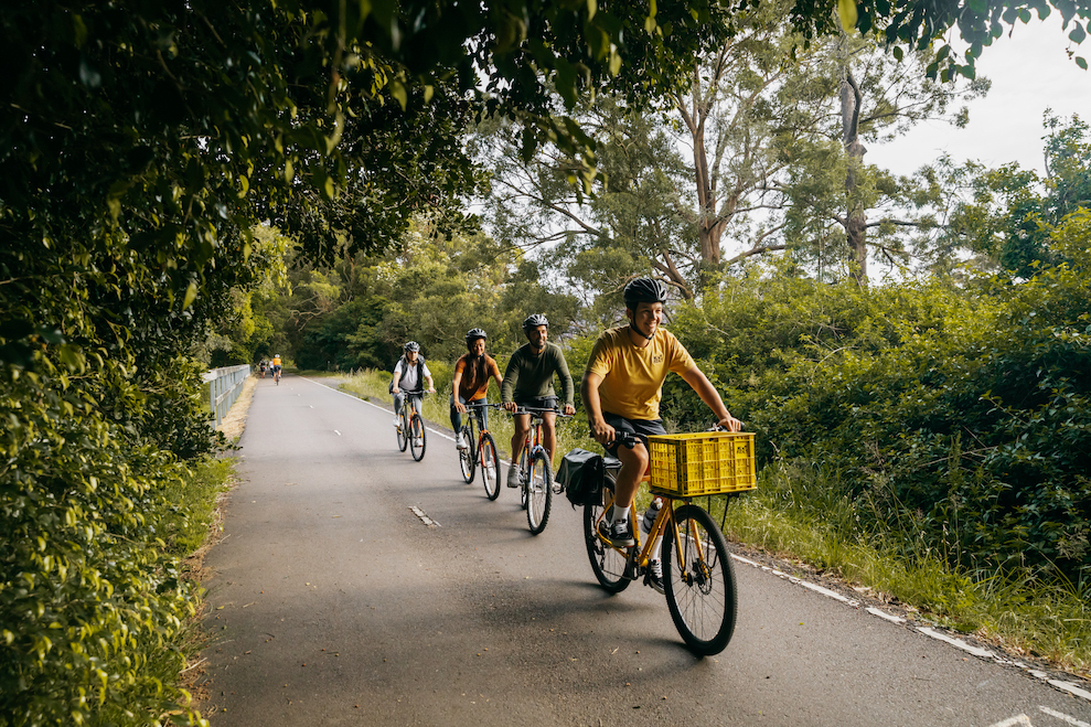 Four people cycling on the Fernleigh track
