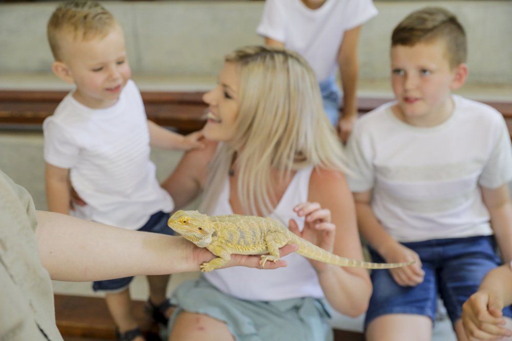 A family petting a lizard at Blackbutt Reserve