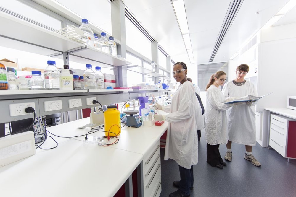 People working in a health laboratory