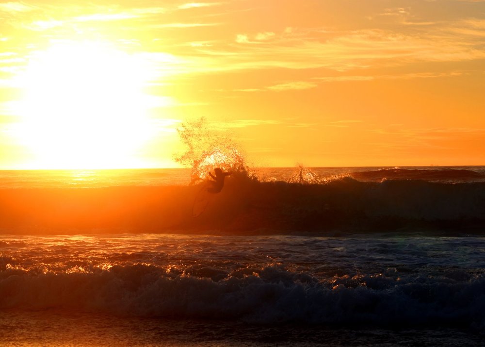 A person surfing a wave at sunset