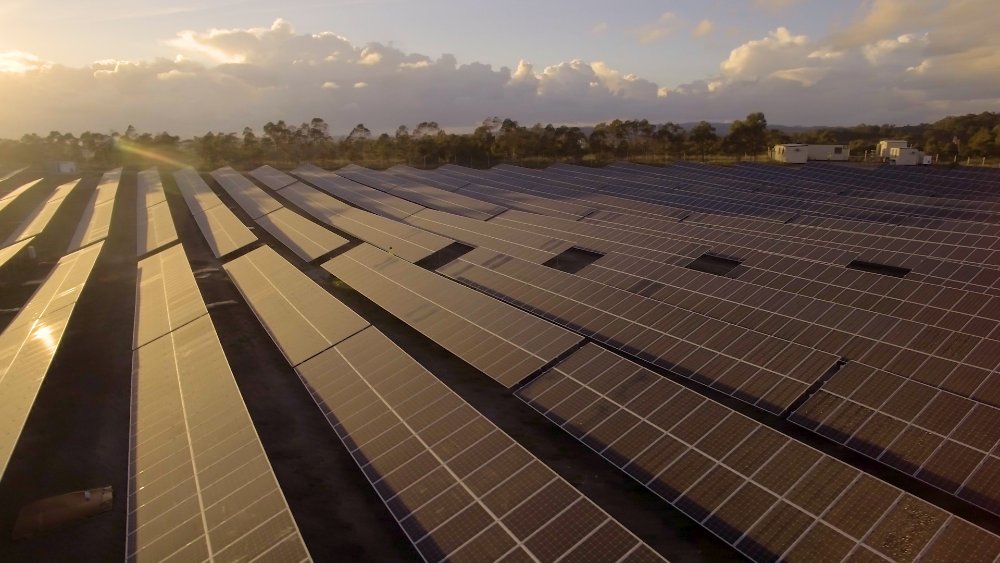 Solar panels at the Summerhill solar farm at sunset