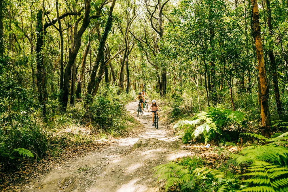 a family riding on a mountain bike trail in Glenrock Conservation Park