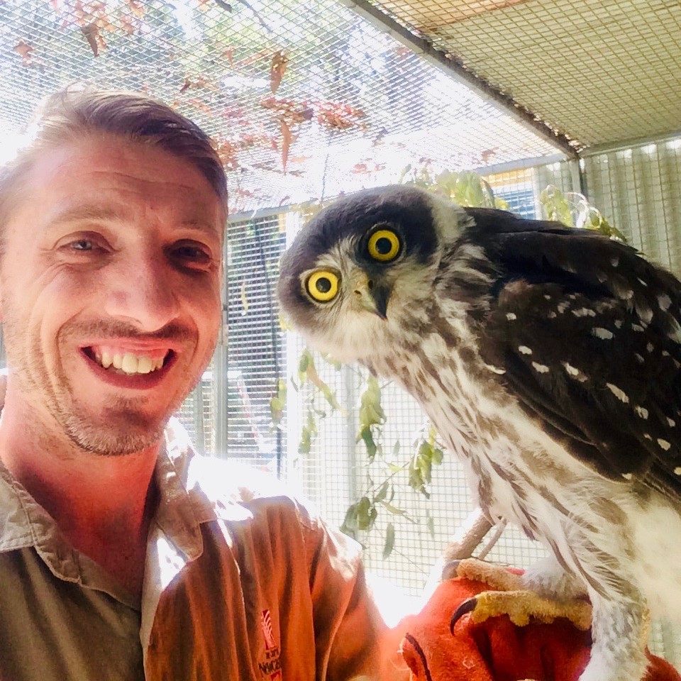 Ranger at Blacbutt Reserve with an owl