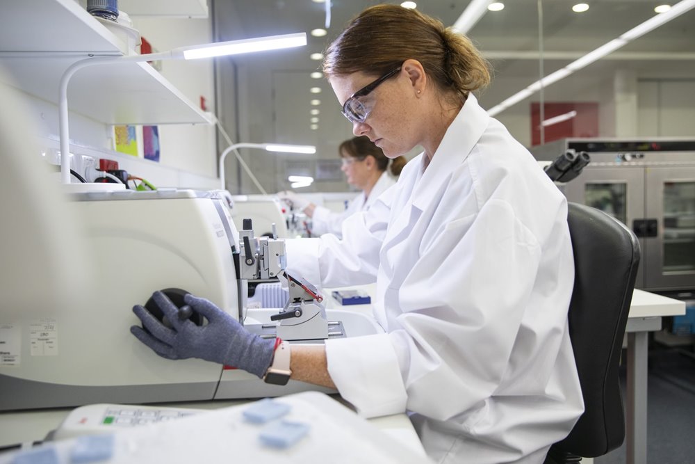 A person in a laboratory using a microscope