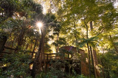 An elevated platform at Blackbutt Reserve